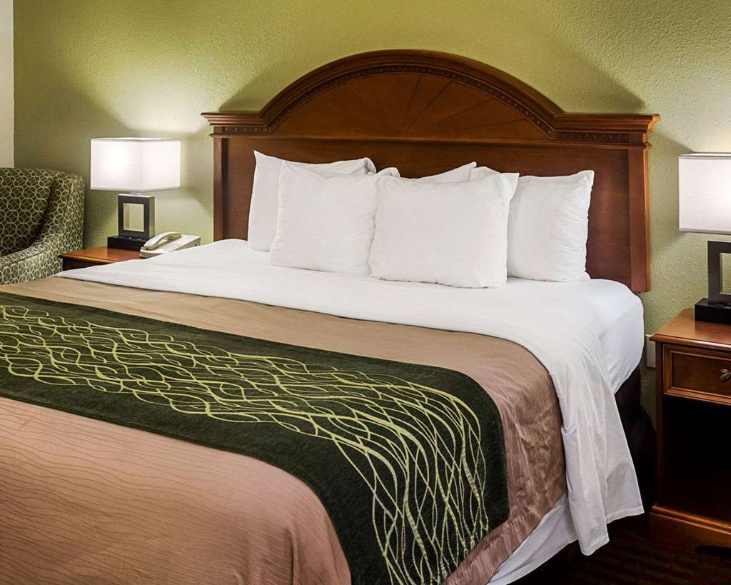 Comfort Inn Newport News - Hampton I-64 Kamer foto